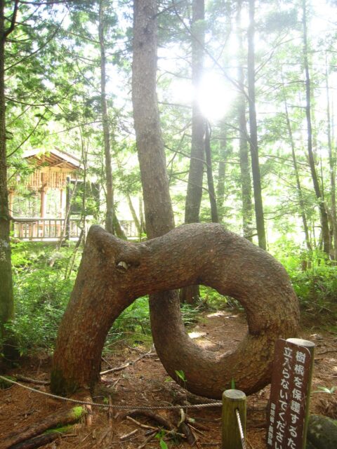 ねじねじの木