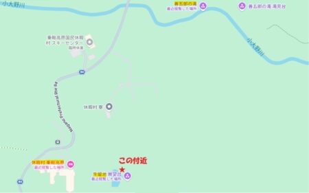 ねじねじの木